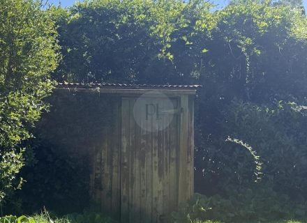 ROSEMOUNT - LIVING ROOMS43