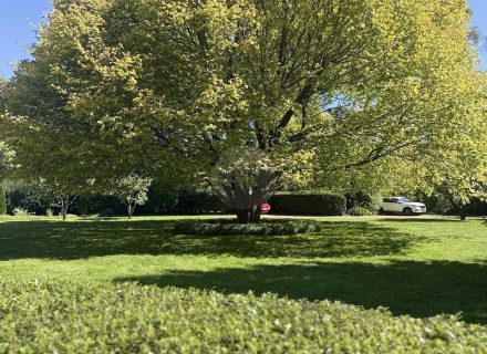 ROSEMOUNT - LIVING ROOMS80