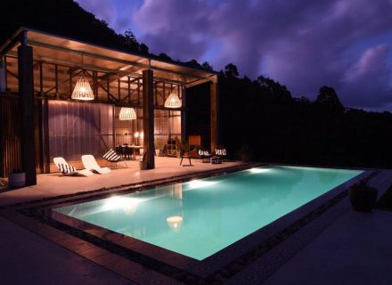 Rainforest-House-Byron-Bay-014.jpeg