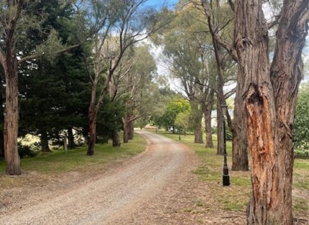 Randolph Estate, Chirnside Park 10