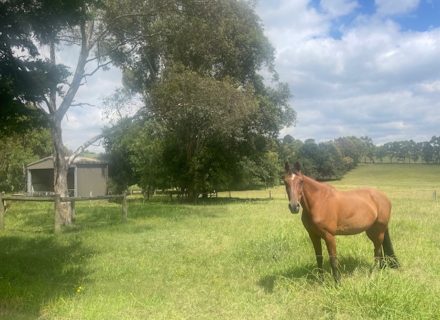 Randolph Estate, Chirnside Park 25