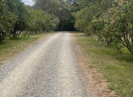 Randolph Estate, Chirnside Park 7