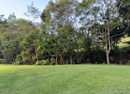 Rawhide Ranch, Currumbin Valley-10