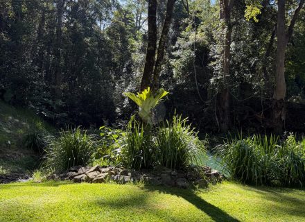 Rawhide Ranch, Currumbin Valley-13