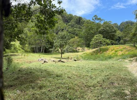 Rawhide Ranch, Currumbin Valley-15