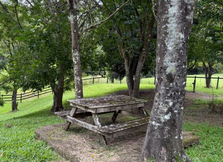 Rawhide Ranch, Currumbin Valley-16