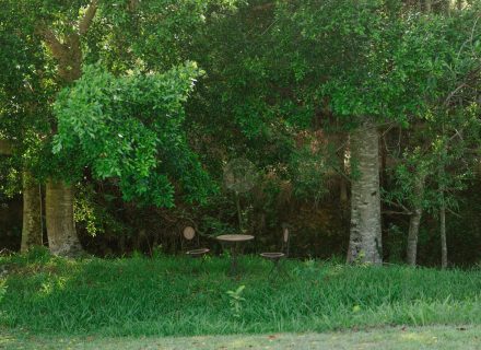 Rawhide Ranch, Currumbin Valley-22