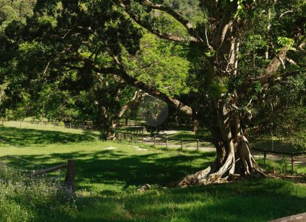 Rawhide Ranch, Currumbin Valley-23