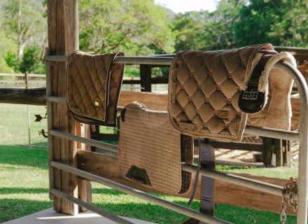 Rawhide Ranch, Currumbin Valley-26