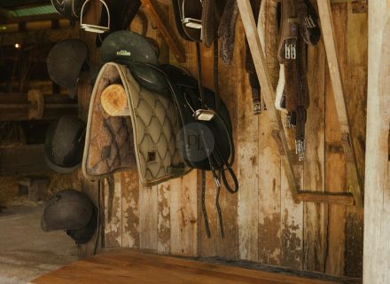 Rawhide Ranch, Currumbin Valley-27