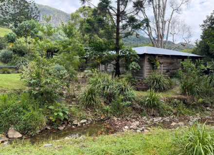 Rawhide Ranch, Currumbin Valley-30