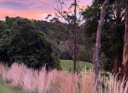 Rawhide Ranch, Currumbin Valley-31