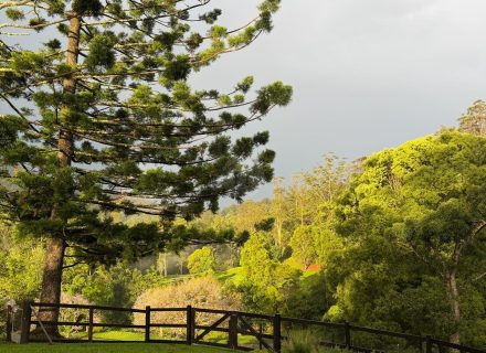 Rawhide Ranch, Currumbin Valley-32