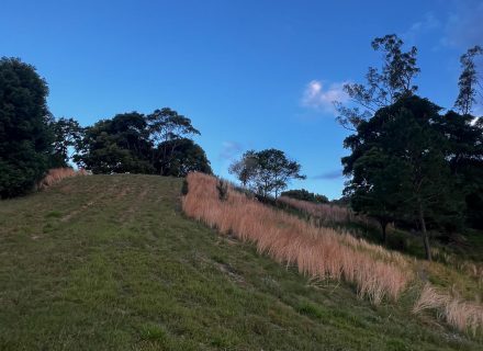 Rawhide Ranch, Currumbin Valley-36