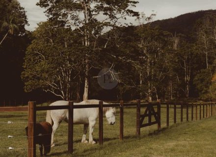Rawhide Ranch, Currumbin Valley-9