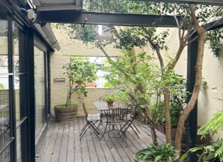 garden established pool