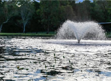 Reverance, Doonan-05