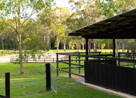 Reverance, Doonan-18