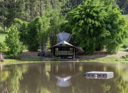Ripple Retreat, Lillian Rock 6