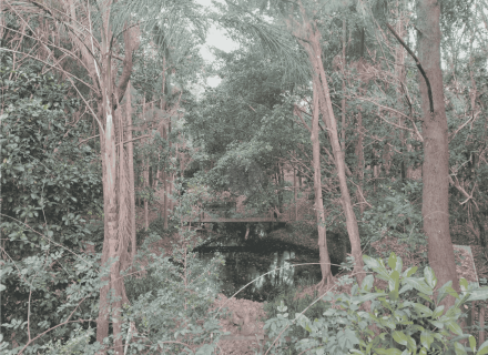 Riverbend, Bunya-51