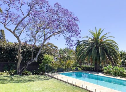 backyard pool garden established