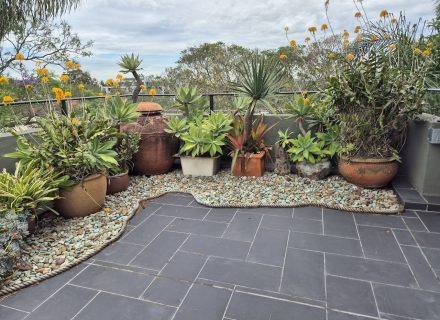Rondo, Leichhardt_41