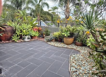 garden established