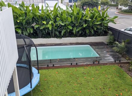 backyard garden established
