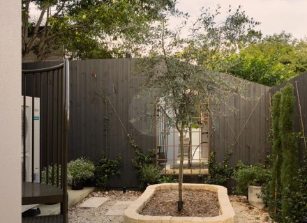 backyard garden established