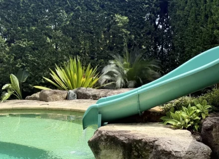 SAHARA ROSE121_result