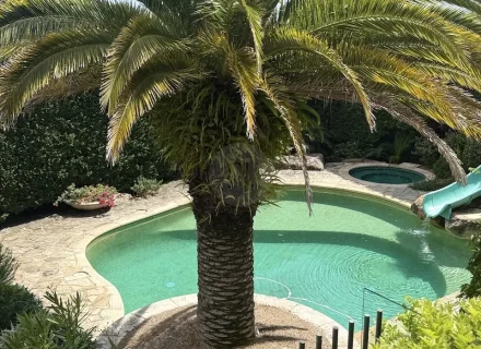 SAHARA ROSE78_result