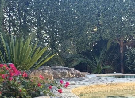 SAHARAROSE POOL OUTDOOR AND POOL25