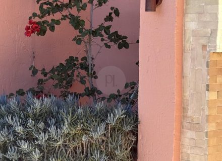 SAHARAROSE POOL OUTDOOR AND POOL66