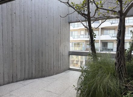 SEIDLER26 TERRACE