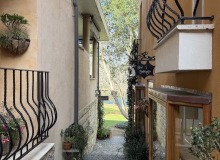 STAIRS TO REAR GARDEN 1