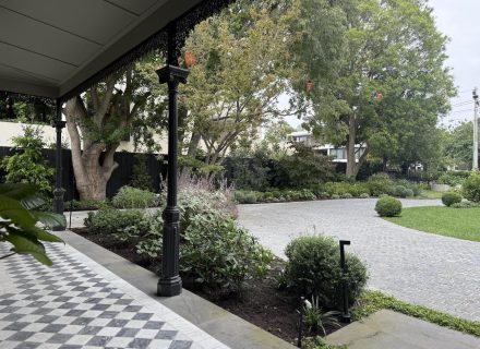 STORM FRONT FRONT GARDENS 4