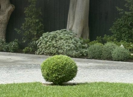 STORM FRONT FRONT GARDENS10