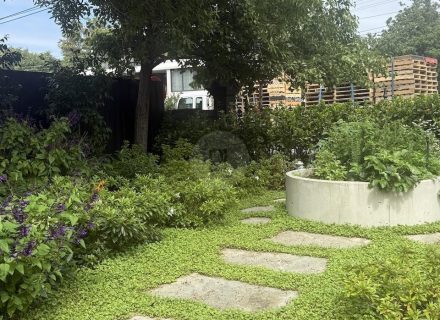 STORM FRONT FRONT GARDENS12