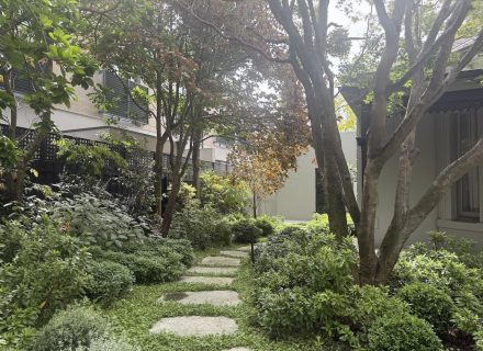 STORM FRONT FRONT GARDENS4