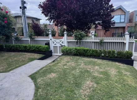 SUNNYSIDE9