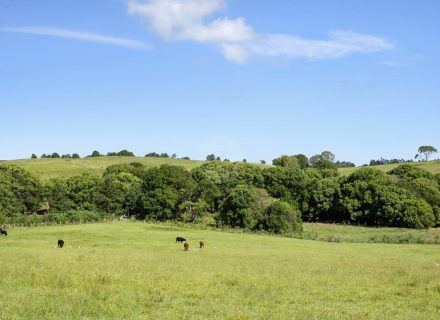 Saddlebrook, Newrybar-41