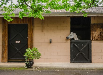 Saddlery Estate, Dural_68