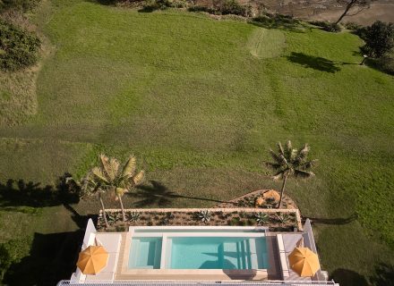 backyard garden established