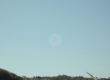 Salt Wood, Clontarf 13