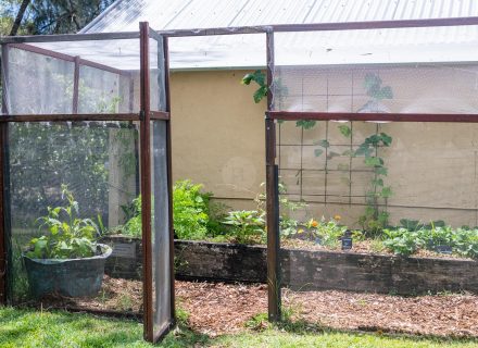 Saltwater Homestead, Yamba-10