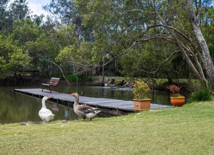 Saltwater Homestead, Yamba-36