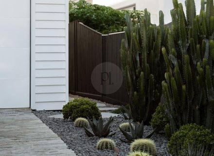 garage garden established