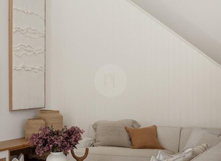 Sans Sebastian, Little Bay-22