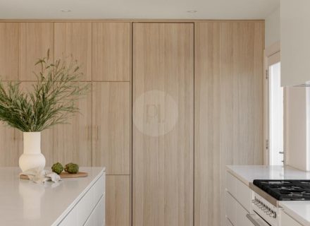 Sans Sebastian, Little Bay-29