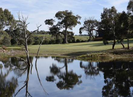 Olea Estate, Lauriston